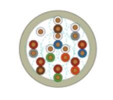 2M Kablo 2XSLCHK-JB 4x4mm² Kablo 0.6/1kV Motor Sürücü Kontrol ve Güç Kablosu